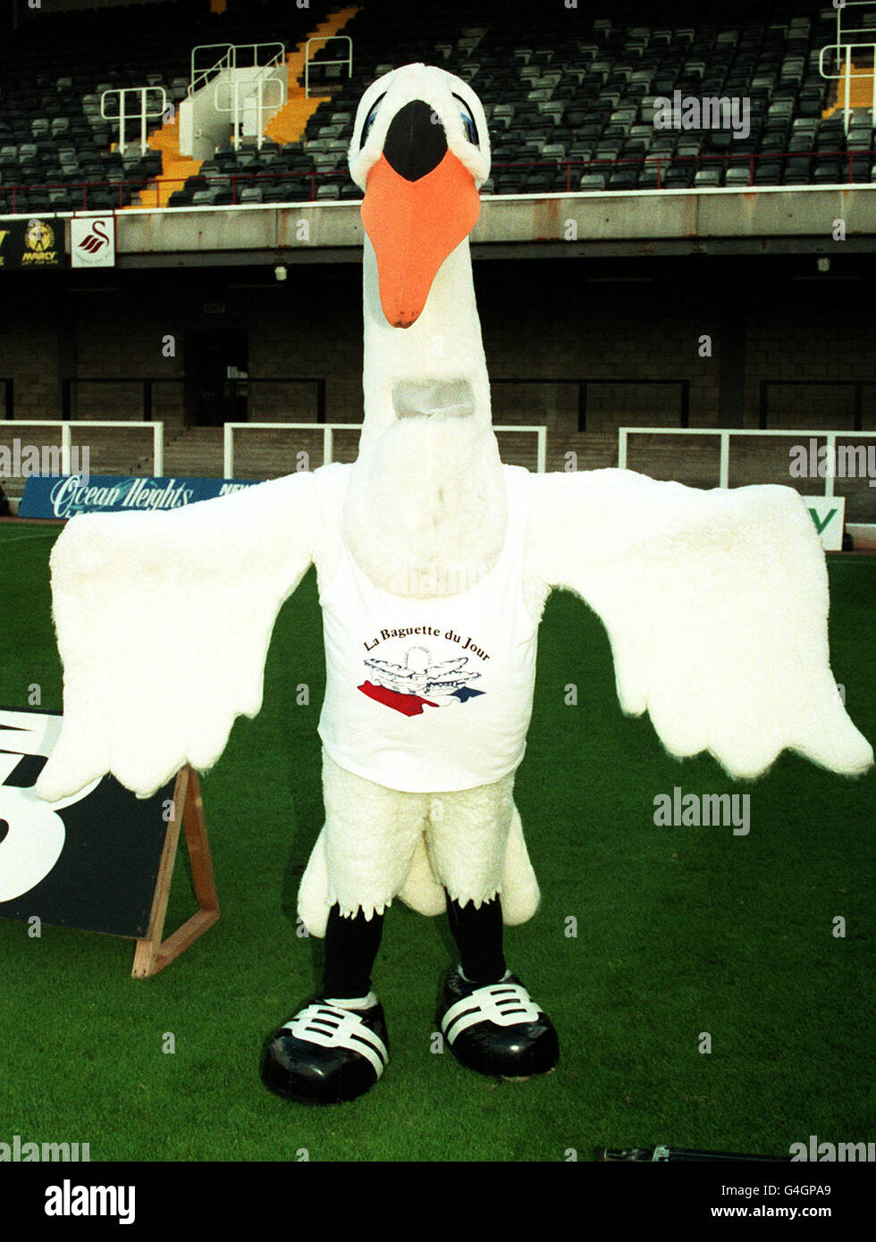 Swansea City football club mascot. The mascot of Swansea City football club. Stock Photo