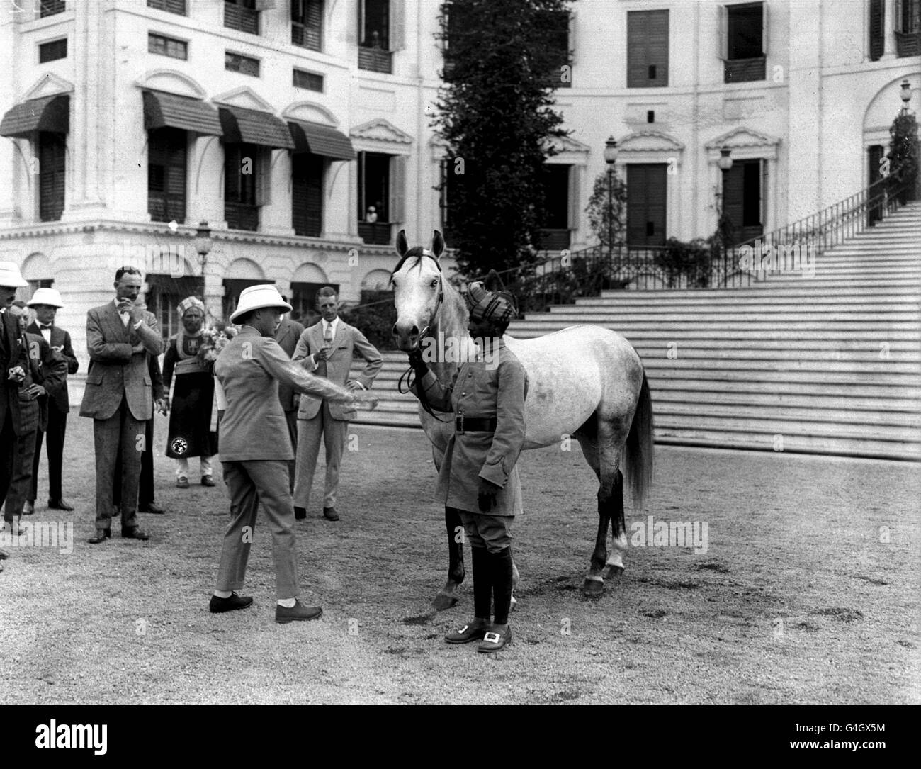 25/12/21: THE PRINCE OF WALES TOUR TO JAPAN AND THE EAST: THE PRINCE EXAMINING THE ARAB POLO PONY PRESENTED TO HIM BY HIS INDIAN STAFF ON CHRISTMAS DAY IN CALCUTTA. Stock Photo