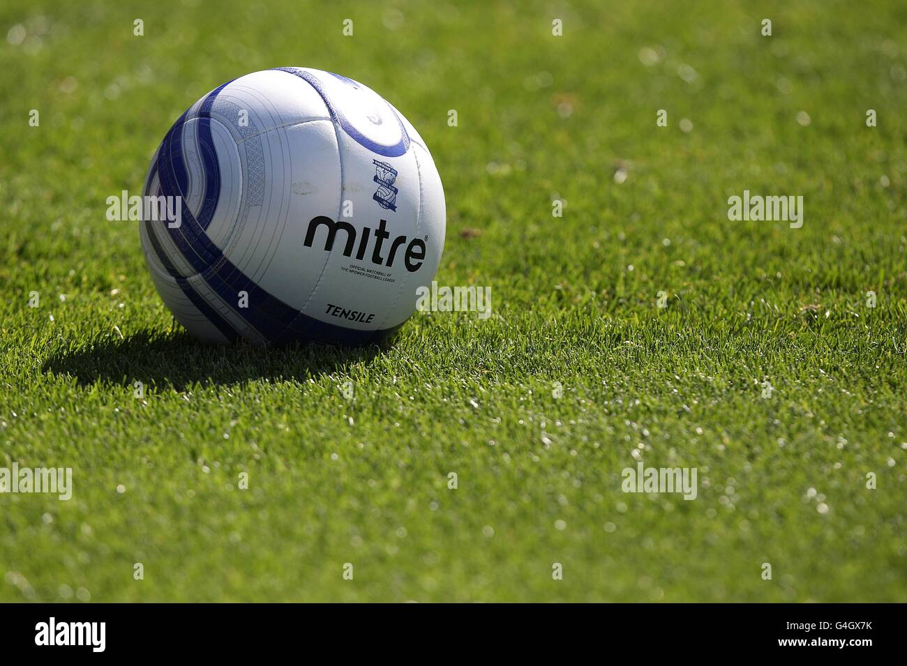 Soccer - npower Football League Championship - Birmingham City v Millwall - St Andrew's. Detail of an official Birmingham City match ball on the pitch Stock Photo