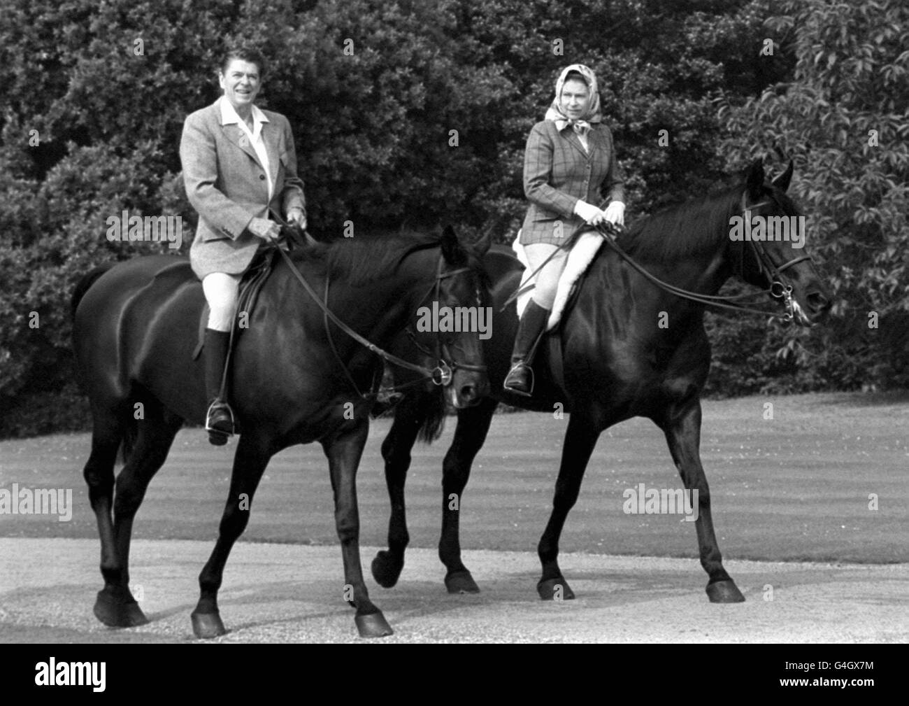 US President Ronald Reagan goes riding in Windsor Home Park while staying as a guest of the Queen. Stock Photo