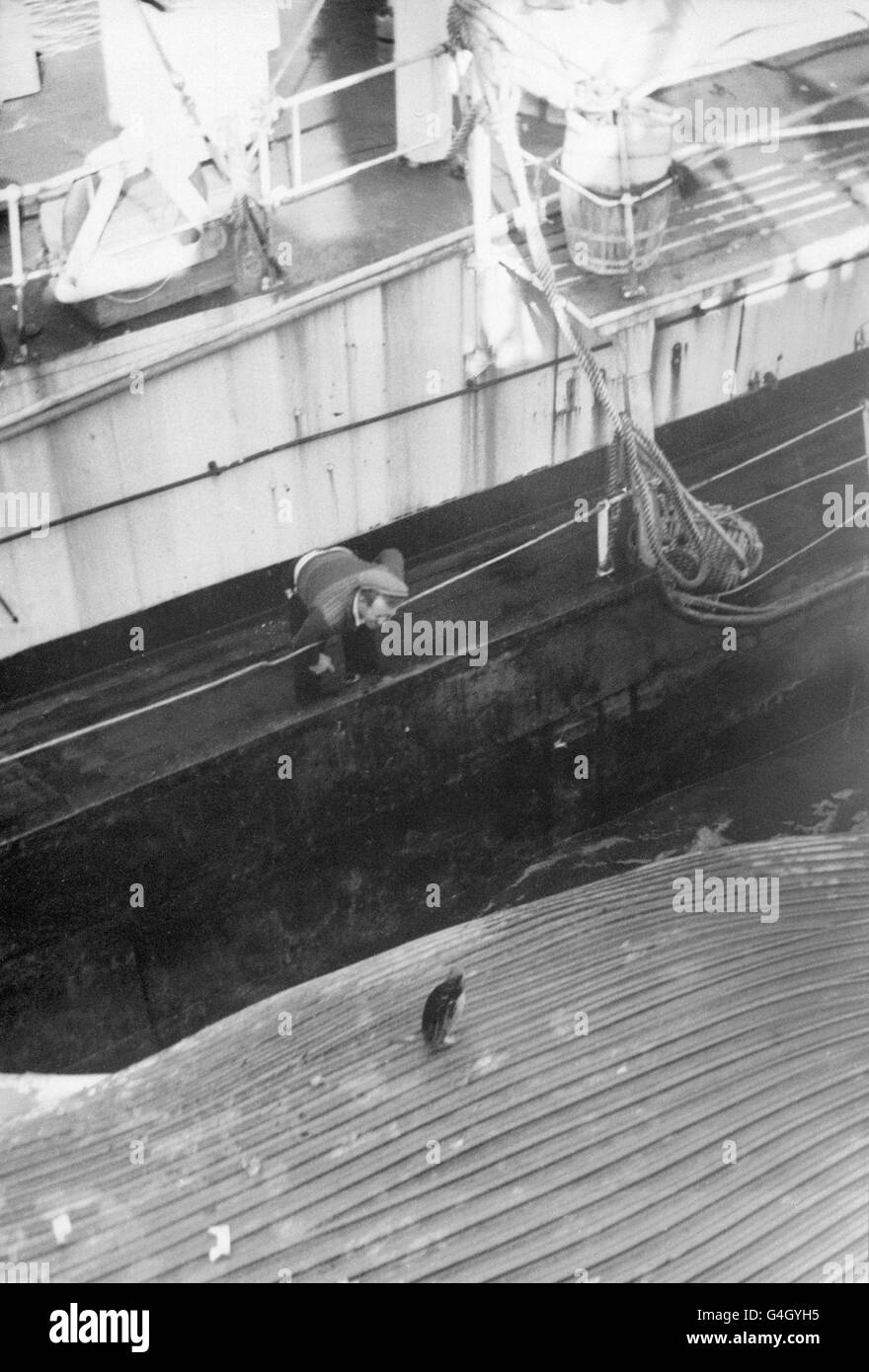 Whaling Ship Black And White Stock Photos Images Alamy