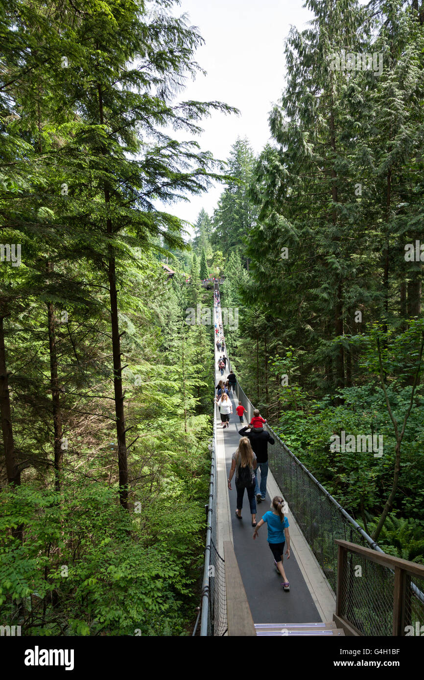 Capilano Suspension Bridge, Vancouver, Canada Stock Photo Alamy