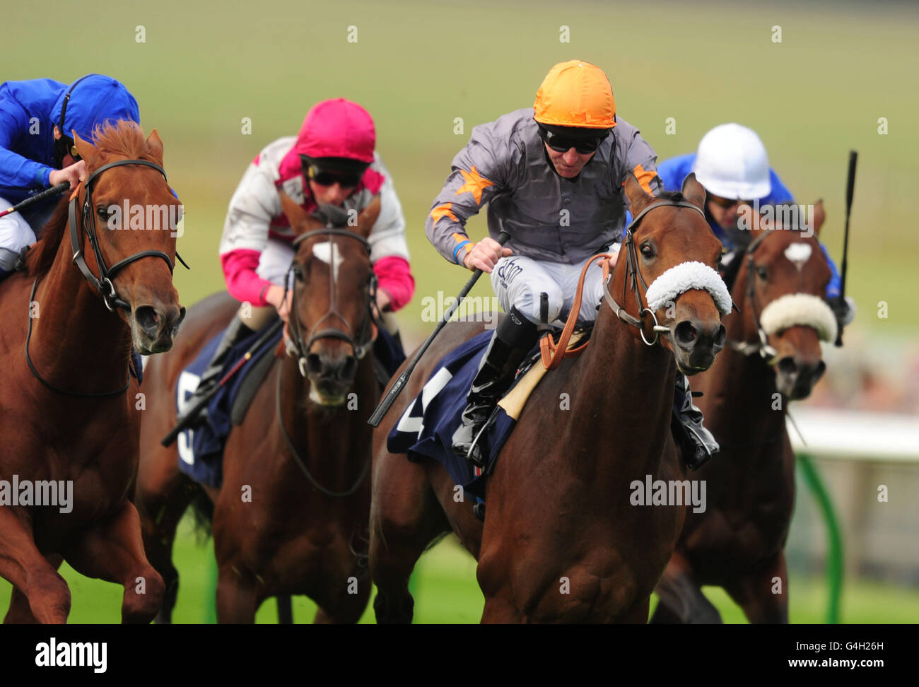 Dandy (2nd right) ridden by Jimmy Fortune comes home to win the E.B.F. Zamindar Maiden Stakes Stock Photo