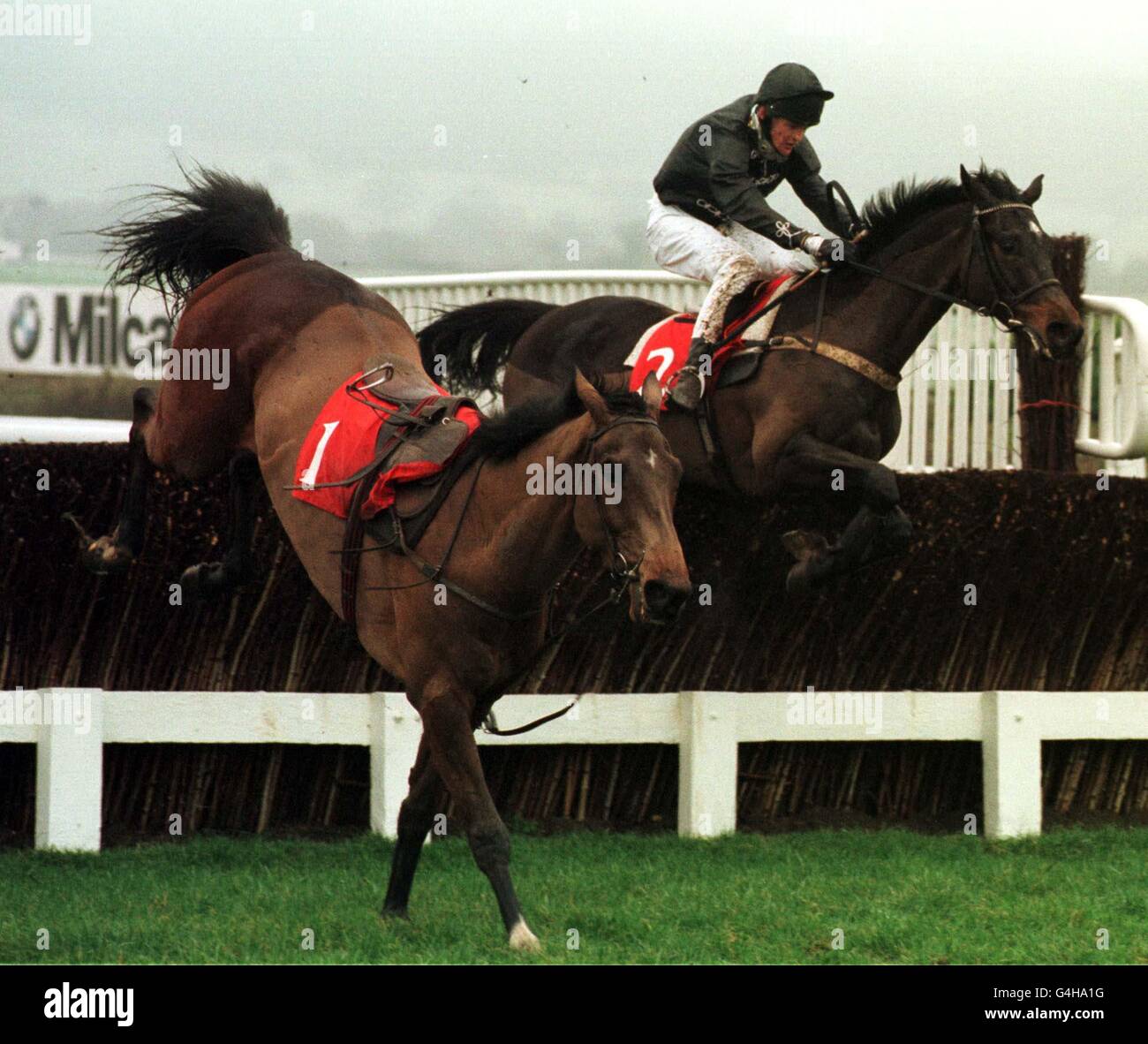 Unsinkable Boxer jumps the last fence without jockey Tony McCoy, who came off at the second last, in the Timeform Novices' Handicap Chase at Cheltenham. Chicodari (ridden by Joe Tizzard) is in the background. The race was won by Flaxley Wood. Stock Photo