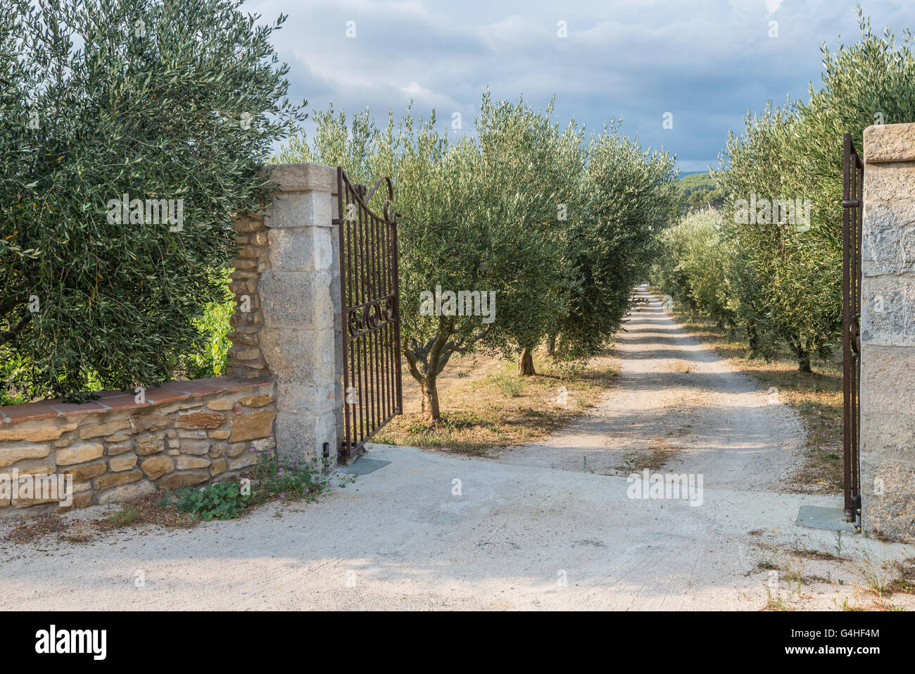 Opened gates are inviting to the beautiful garden with olive trees Stock Photo
