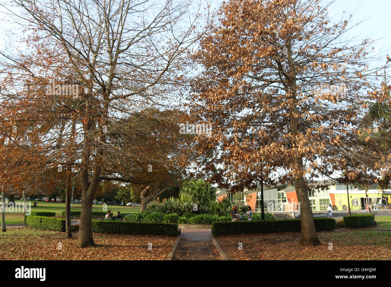 Enmore Park, Marrickville in Sydney, Australia Stock Photo Alamy