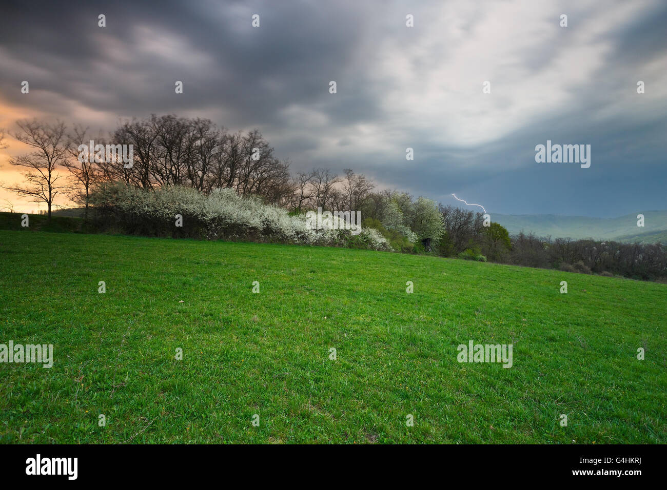Landscape rain trees hi-res stock photography and images - Alamy