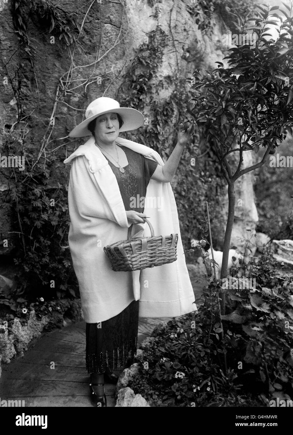 Former actress Lillie Langtry picking fruit from a tree in the garden of her home in Monaco in 1922. She achieved notoriety by being the mistress of King Edward VII. She died in Monaco in 1929. She was known as 'The Jersey Lily' having been born on the island of Jersey in 1853. Stock Photo