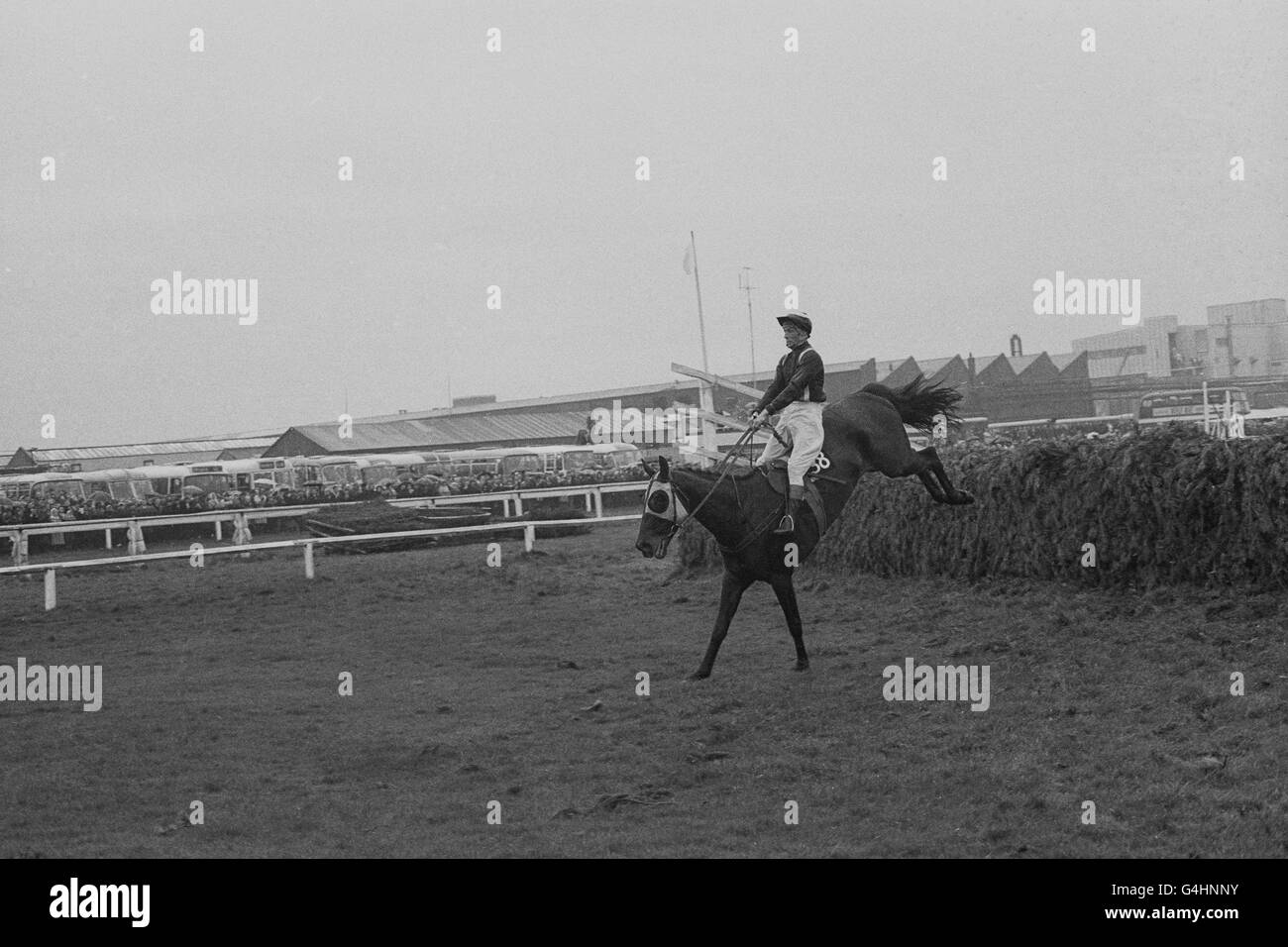 1967 Grand National Aintree Stock Photo Alamy