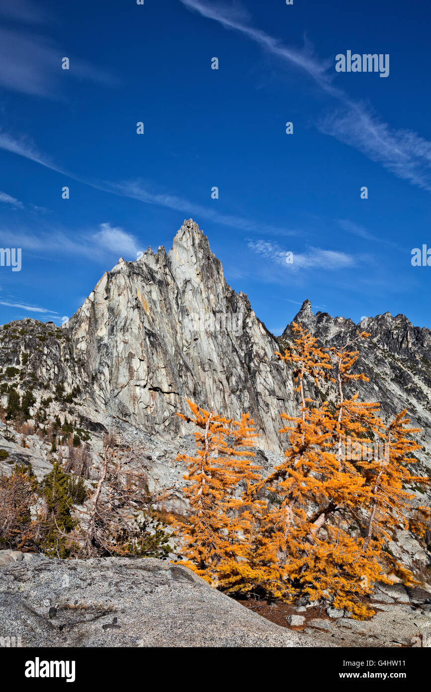 Larch trees enchantment lakes hi-res stock photography and images - Alamy