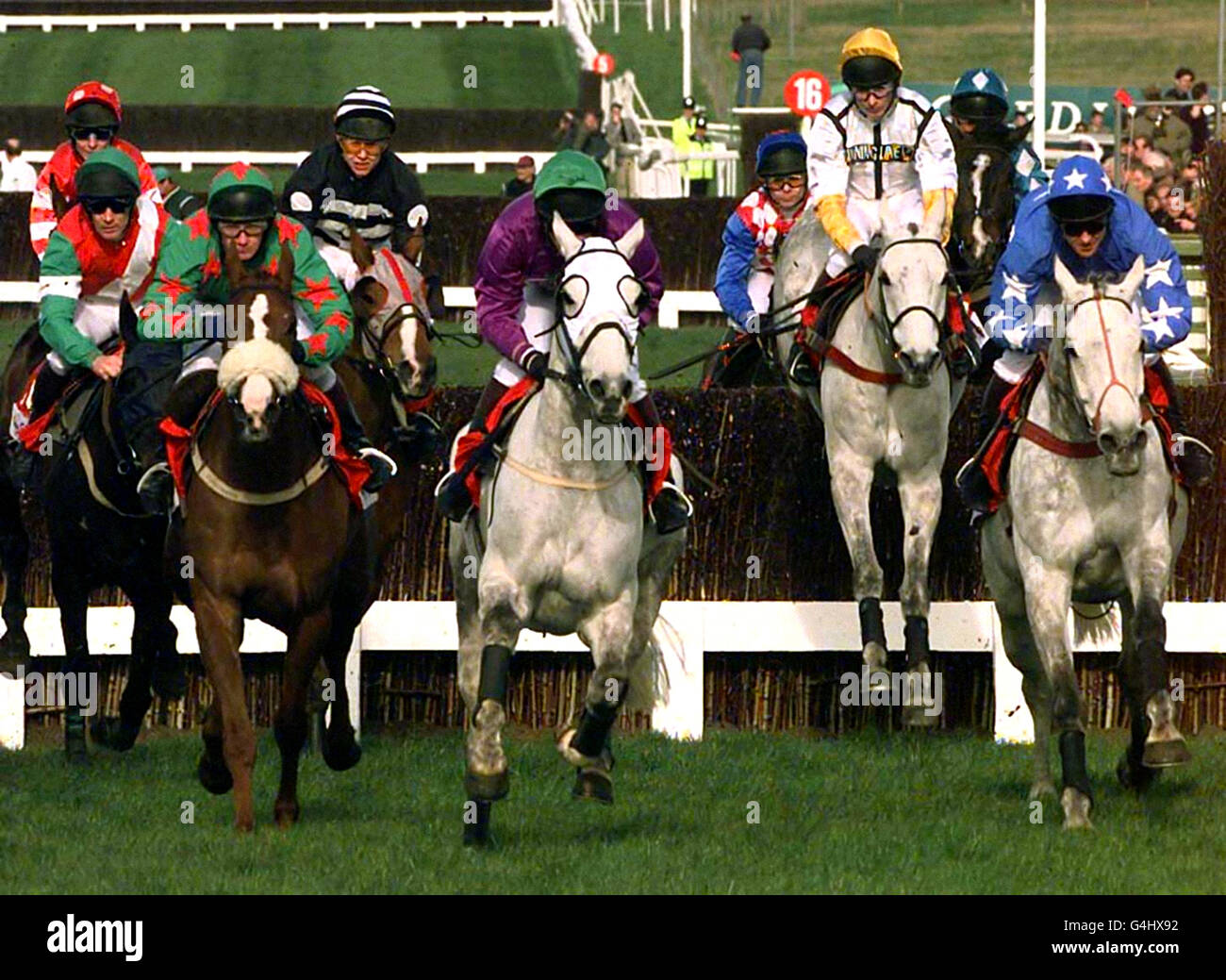 First time round in the Cheltenham Gold Cup and Teeton Mill (second right), ridden by Norman Williamson, jumps the second fence before he was pulled up. Stock Photo