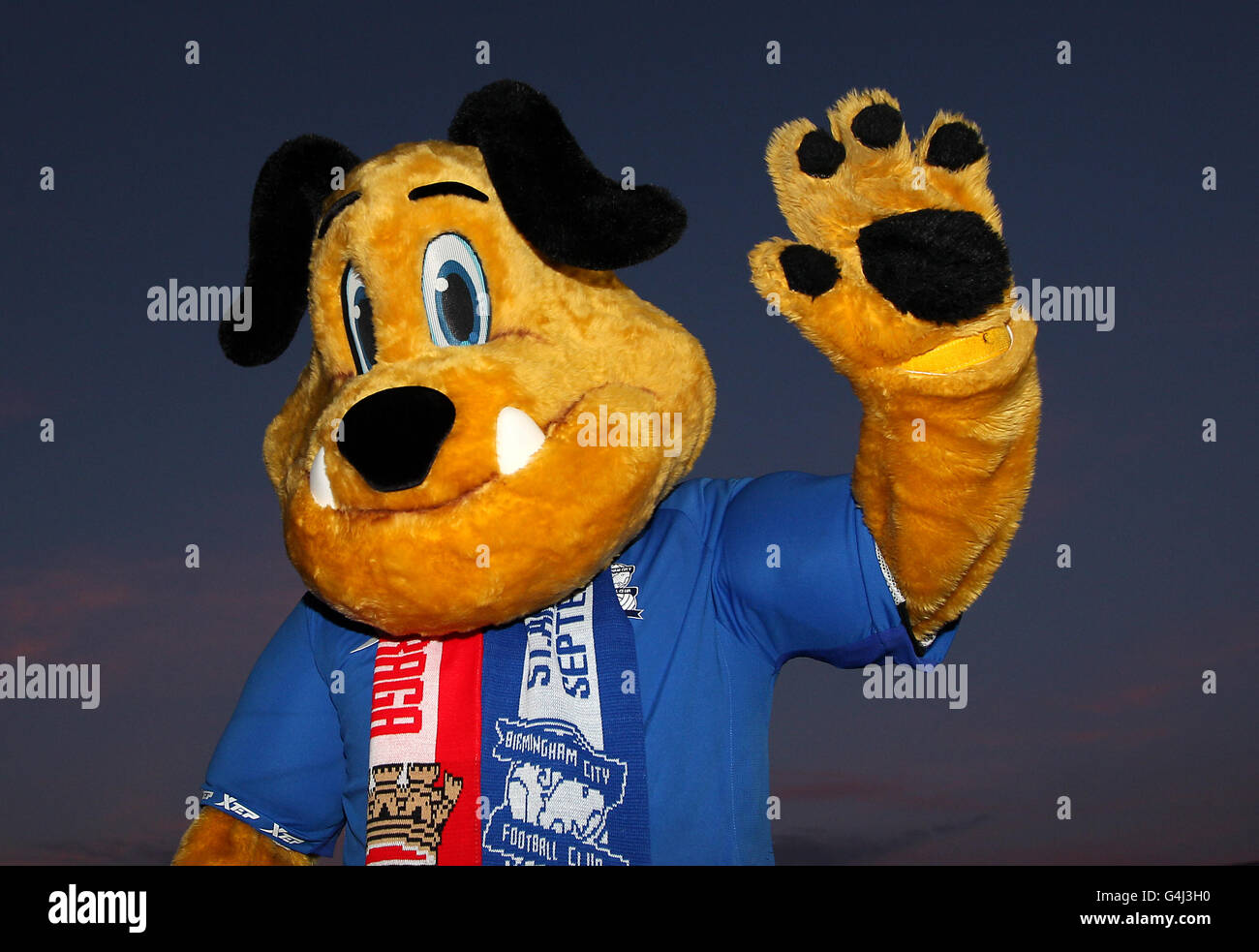 Birmingham City Mascot Hi res Stock Photography And Images Alamy birmingham-city-mascot-hi-res-stock-photography-and-images-alamy