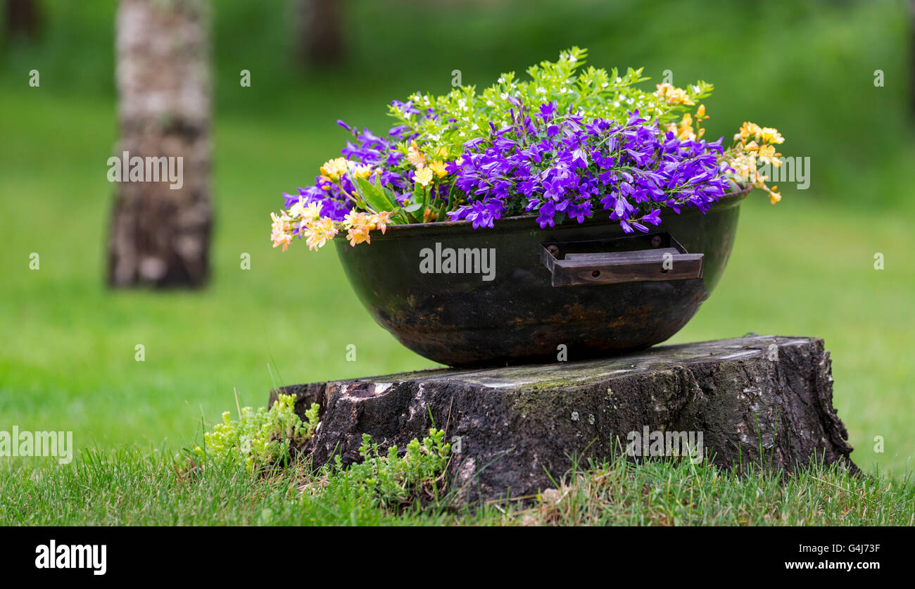 Flowers in Pot on Stump with a tree in the background and green grass. Stock Photo