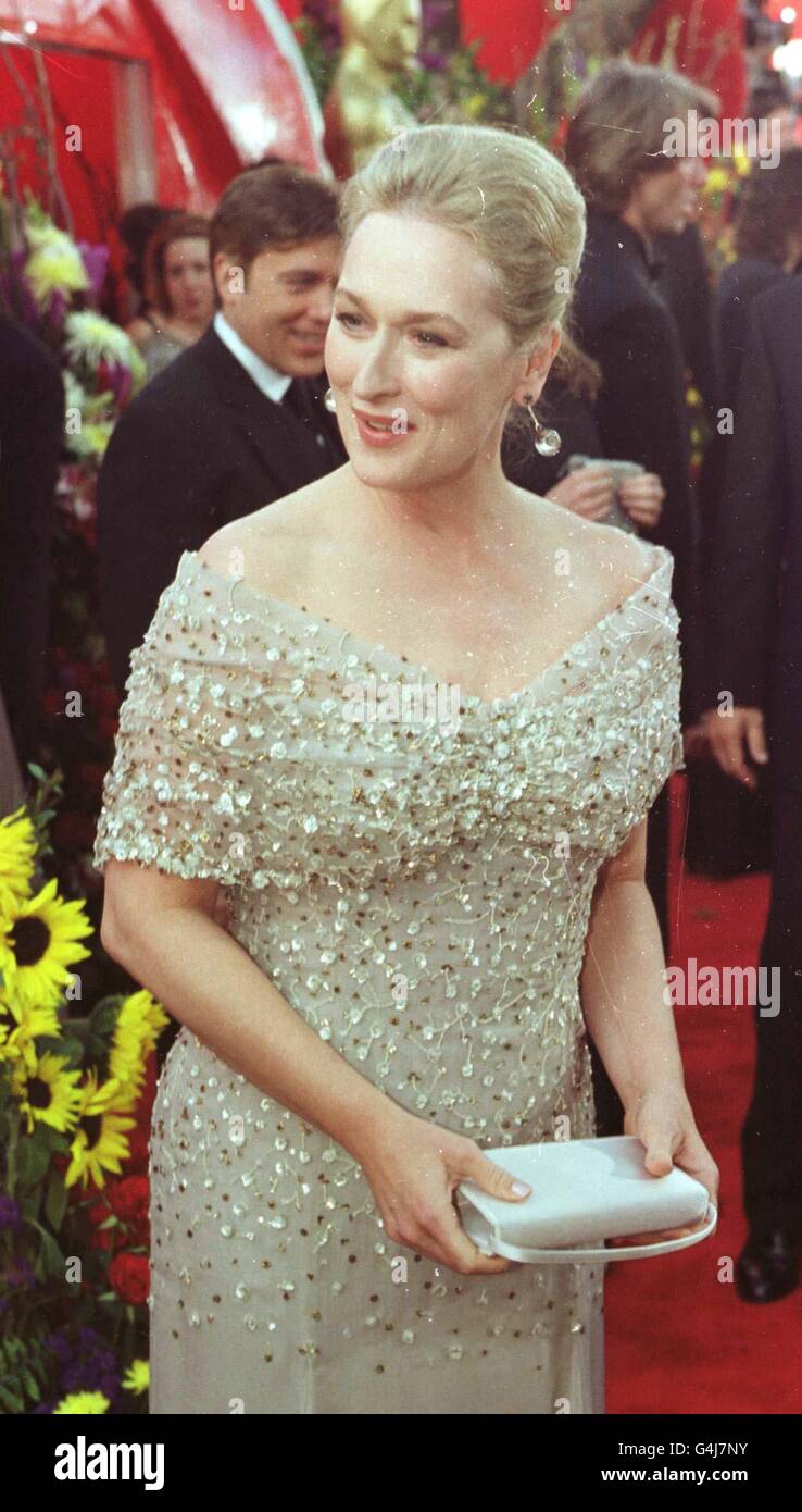 Meryl streep cheap oscar dress