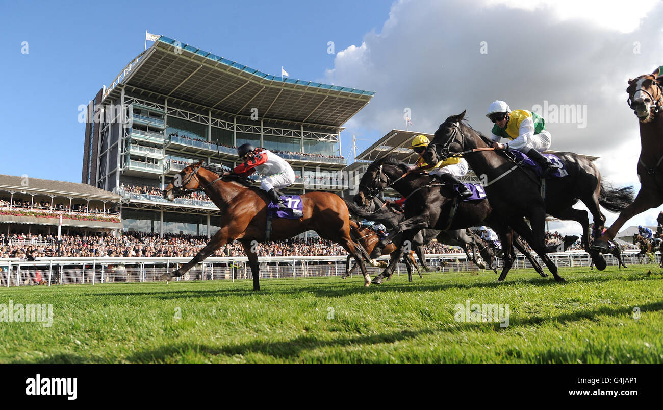 York Races October Horse Racing - October Finale Stakes Day - York Racecourse Stock Photo ...