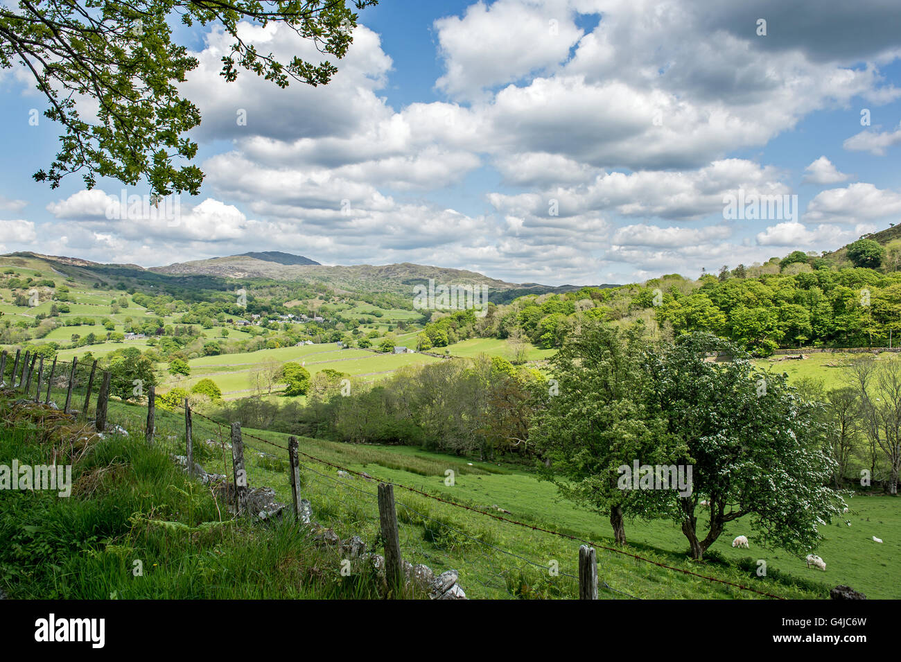 LLanfachreth, north Wales in the mountains Stock Photo