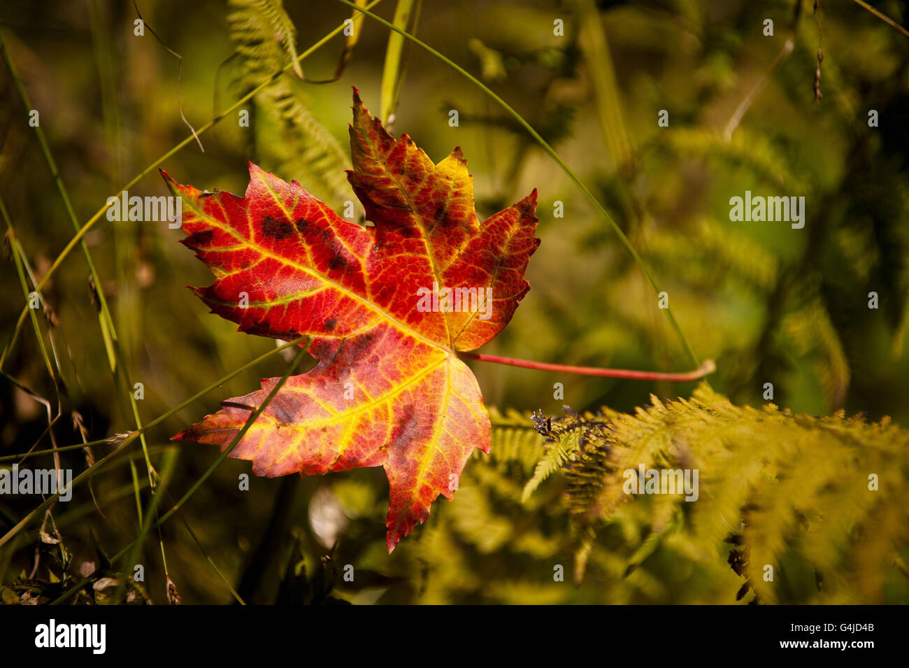 Weather Sept 21 Stock Photo - Alamy