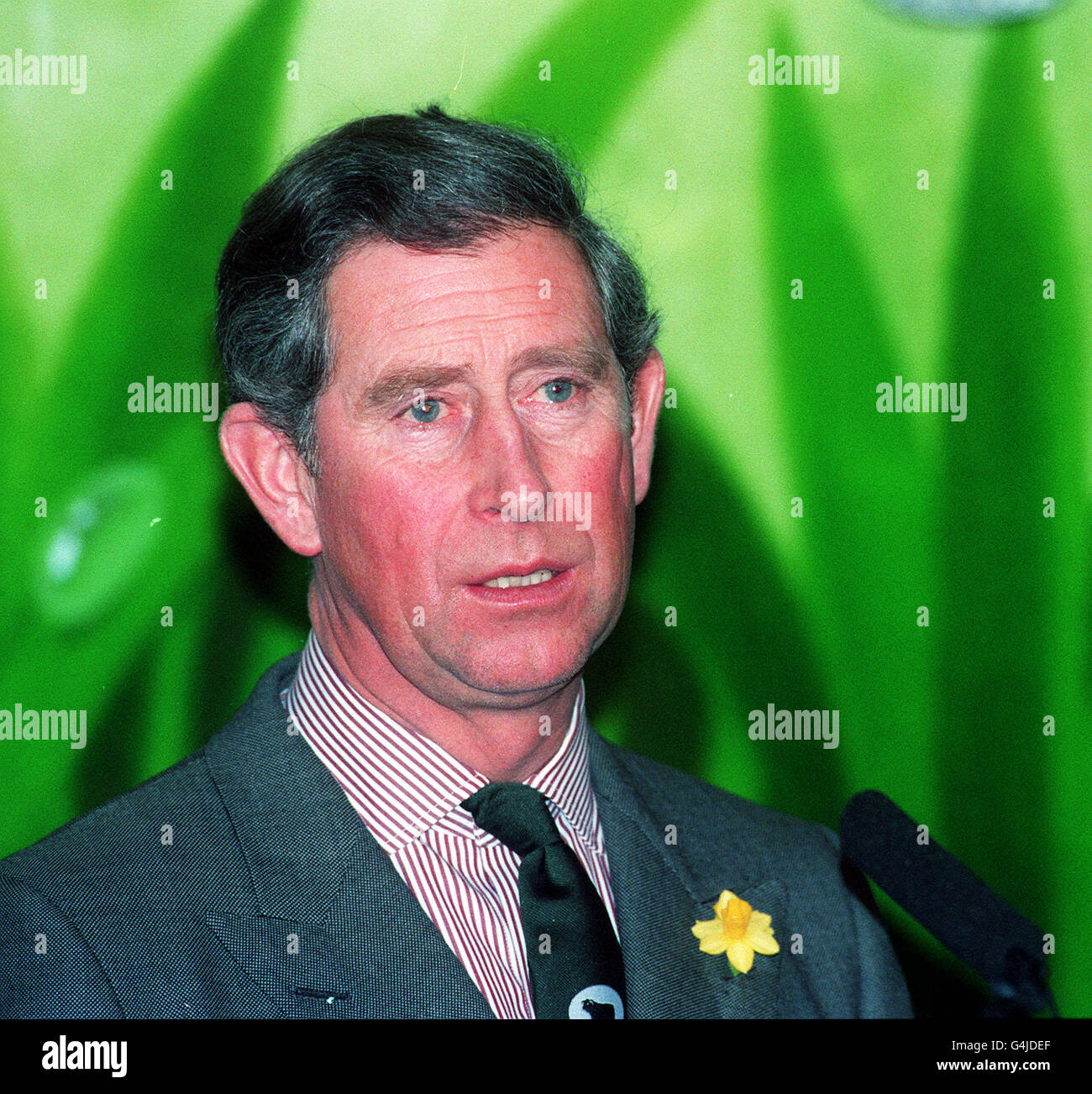 Prince of Wales talks/Welsh beef Stock Photo Alamy