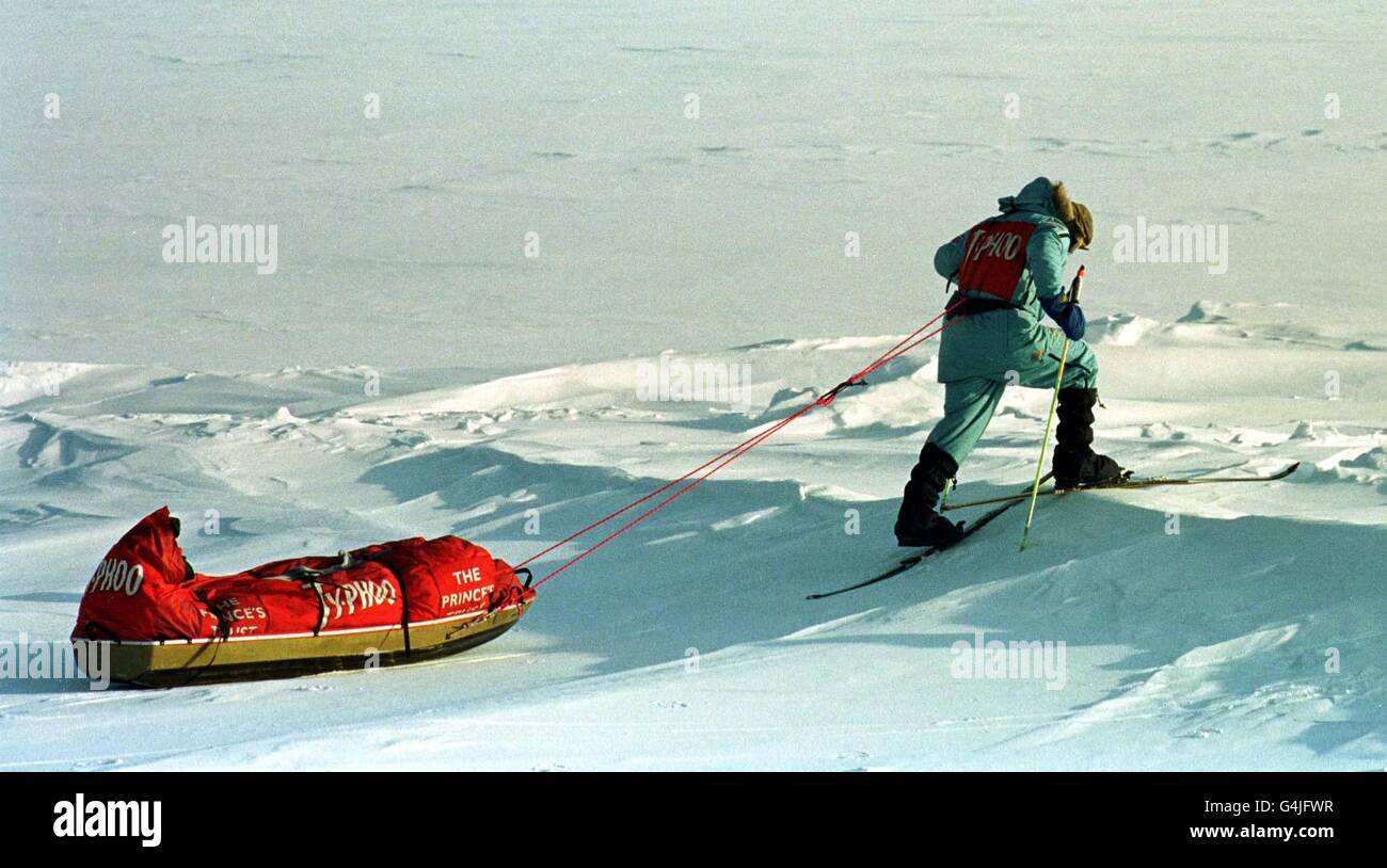 Sled test hires stock photography and images Alamy