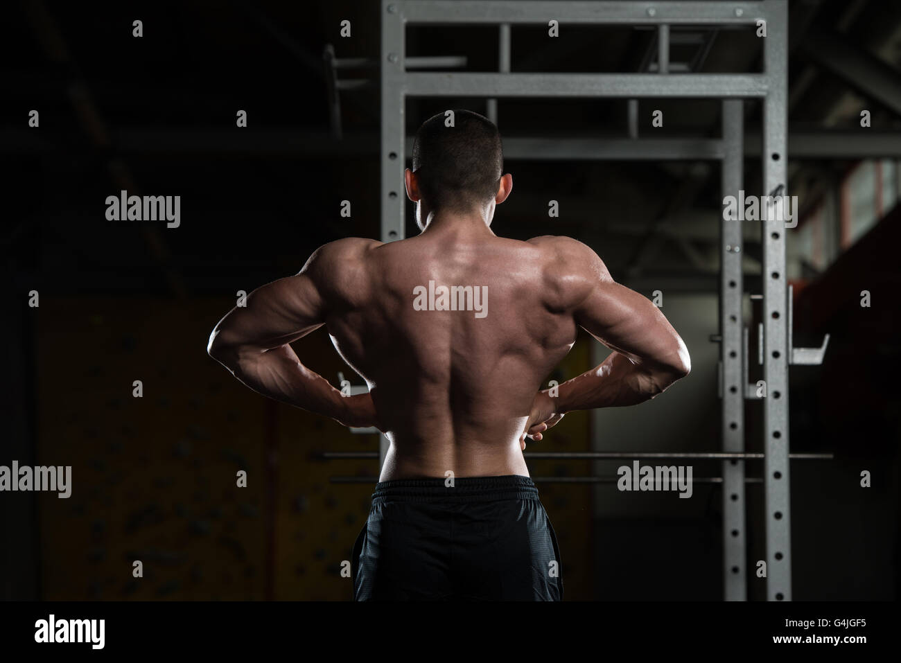 Bodybuilder pperfroming a back double biceps pose in gym stock photo