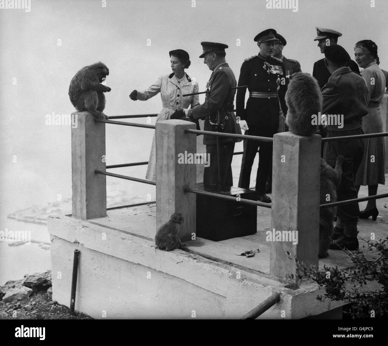 Barbary apes perch on a railing as the Queen and Duke of Edinburgh visit them on the Rock of Gibraltar during their Royal tour of the Commonwealth. Stock Photo