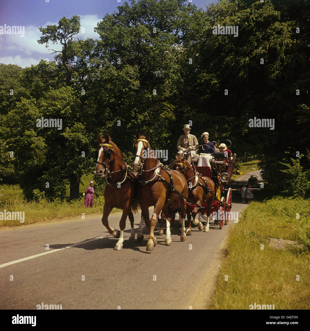 Transport - Horses and Stage Coach - Cowdray Park. The stage coach Endeavour on it's way to the Polo, passing through Cowdray Park Stock Photo