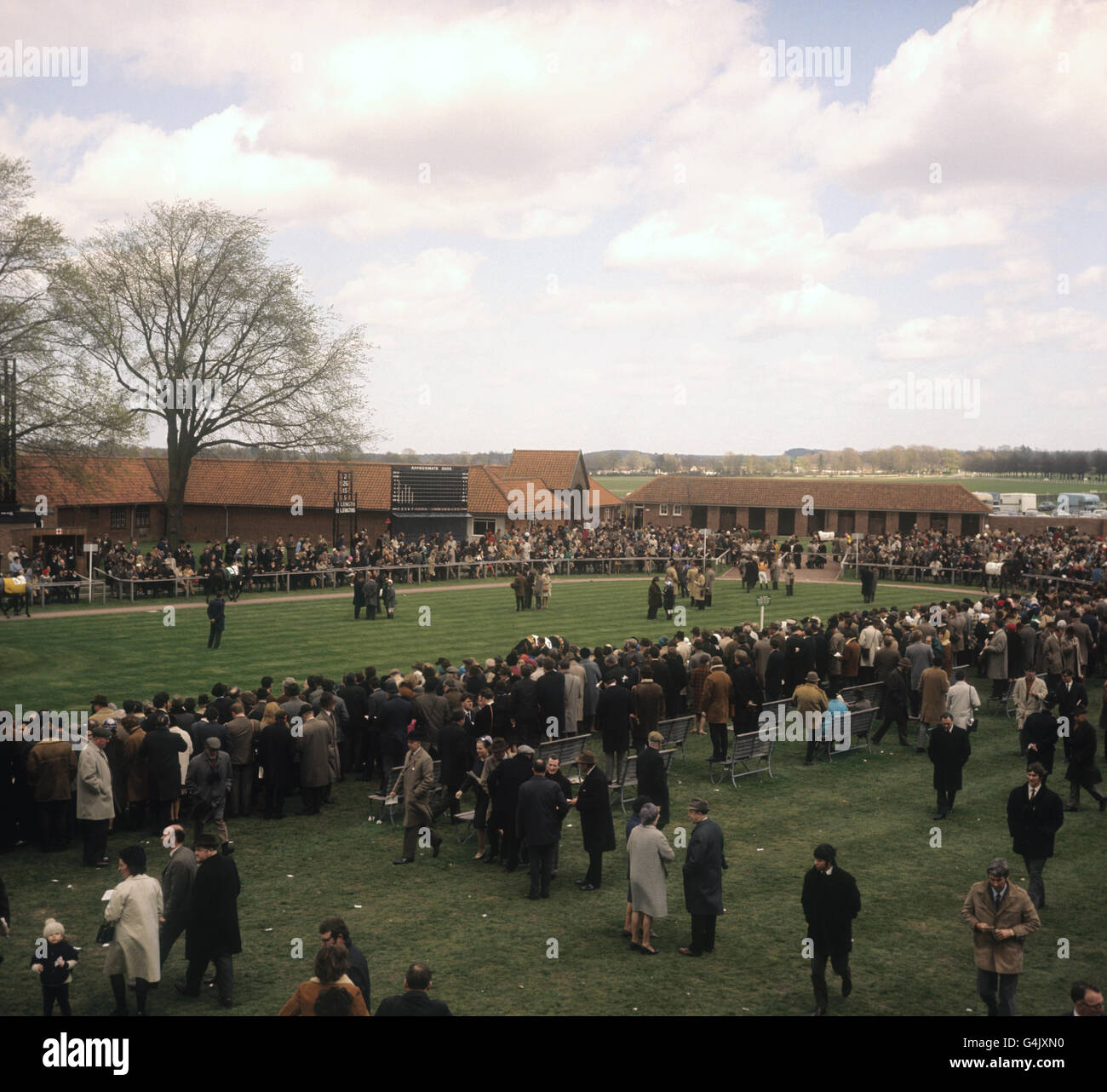 Horse Racing - Saddling Enclosure - Newmarket. The Saddling Enclosure at Newmarket. Stock Photo