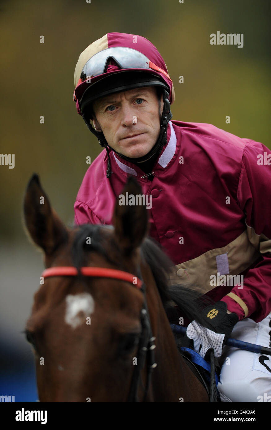 Horse Racing - Nottingham Racecourse Stock Photo - Alamy