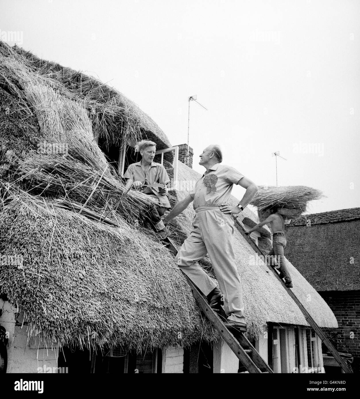 Rear Admiral Morgan Giles, Conservative candidate for Winchester climbs a ladder to the roof of the 300-year-old Mary Cottage in the village Micheldever to canvas the vote of the Thatcher, Mr Jeffrey King, a former Naval acquaintance of the Rear Admiral. Stock Photo