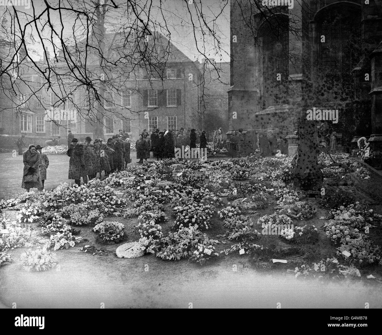 Visitors viewing a magnificent expanse of wreaths at Windsor Castle, in sympathy for the death of King George VI. *damaged plate* Stock Photo