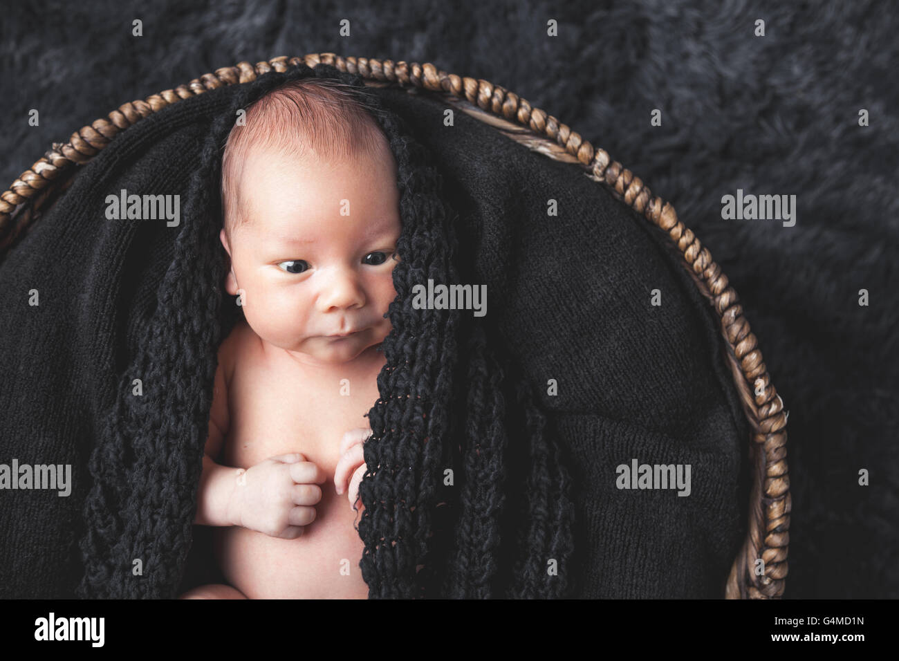 Beautiful newborn inside a wicker basket Stock Photo Alamy