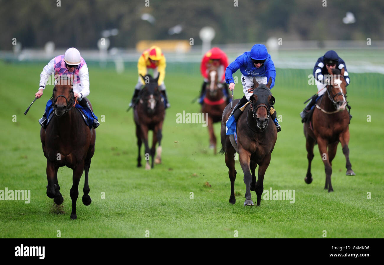Horse Racing - Nottingham Racecourse Stock Photo - Alamy