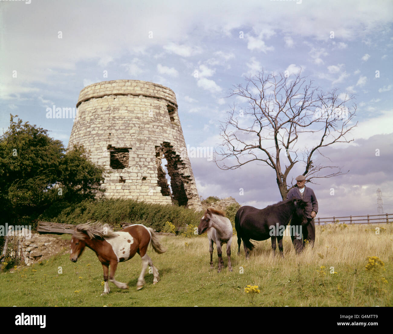 Buildings and Landmarks Flour Mill Yorkshire Stock Photo Alamy