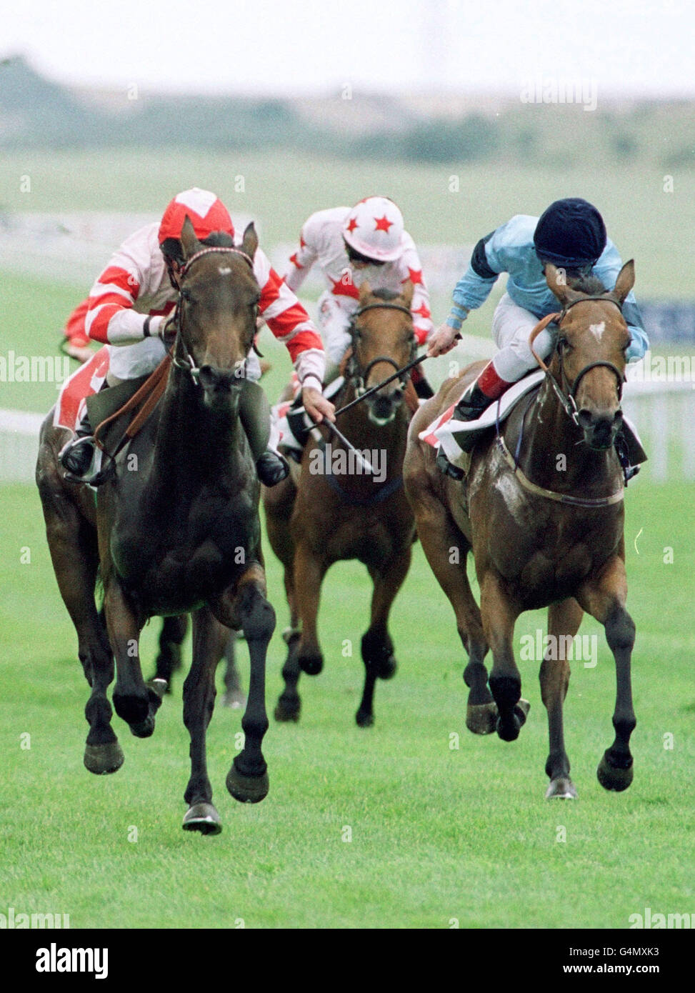 Torgau (L), ridden by Gary Stevens, winning the Charles Heidseick Champagne Cherry Hinton Stakes, giving the American Jockey his first Newmarket victory, from the favourite Hoh Dear in second place, (R), ridden by Michael Fenton. * and Flowington, third, (centre), ridden by Jimmy Quinn at the Suffolk course . Stock Photo