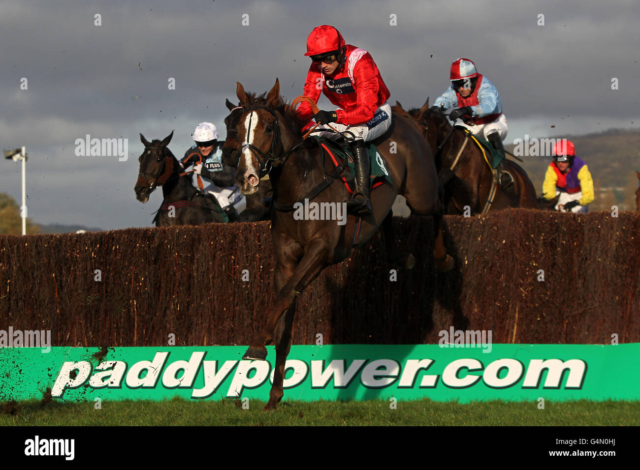 Horse Racing - The Open 2011 - Paddy Power Gold Cup Day - Cheltenham Racecourse. Jockey Ruby Walsh on Promising Anshan during the Rewards4Racing Handicap Chase Stock Photo