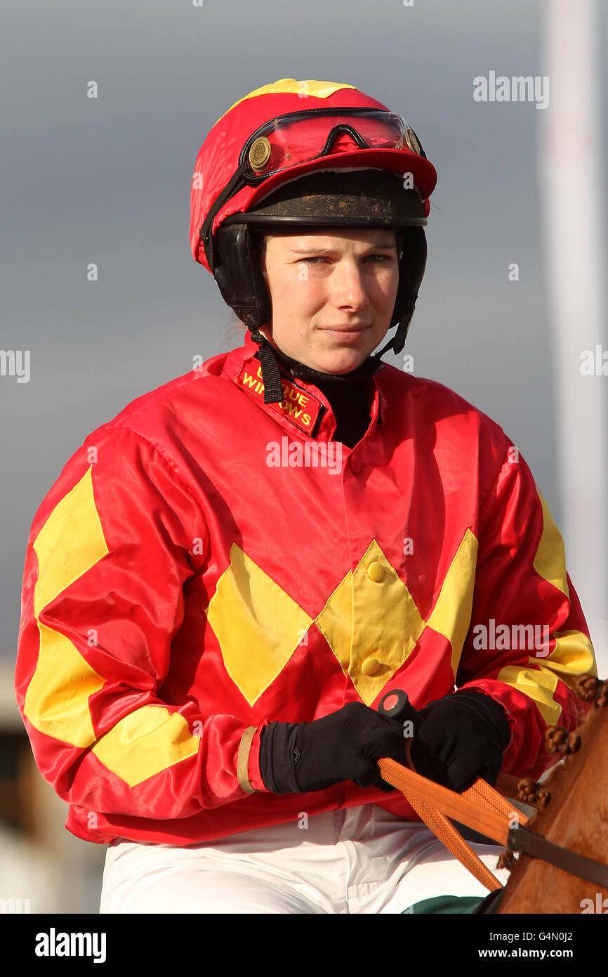 https://c8.alamy.com/comp/G4N0J2/horse-racing-the-open-2011-paddy-power-gold-cup-day-cheltenham-racecourse-G4N0J2.jpg