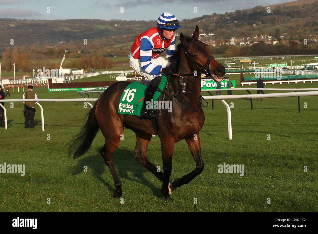 Jockey Ryan Mahon on Aerial goes to post for the Paddy Power Gold Cup ...