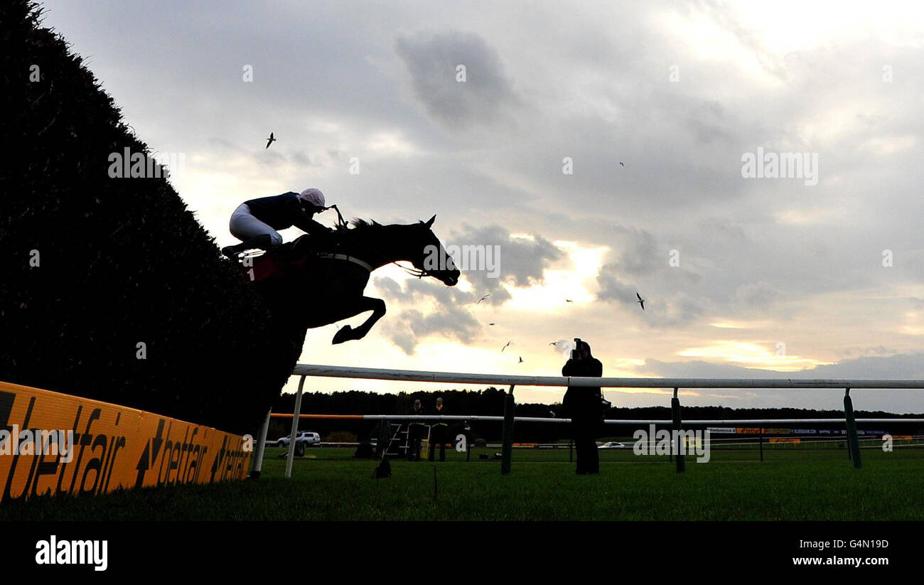 Mr Moonshine ridden by Henry Oliver wins The Junior Betfair Novices' Chase during the Betfair Chase Festival Raceday at Haydock Park Racecourse. Stock Photo