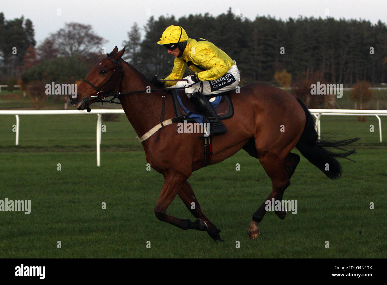 Racing market rasen hires stock photography and images Alamy