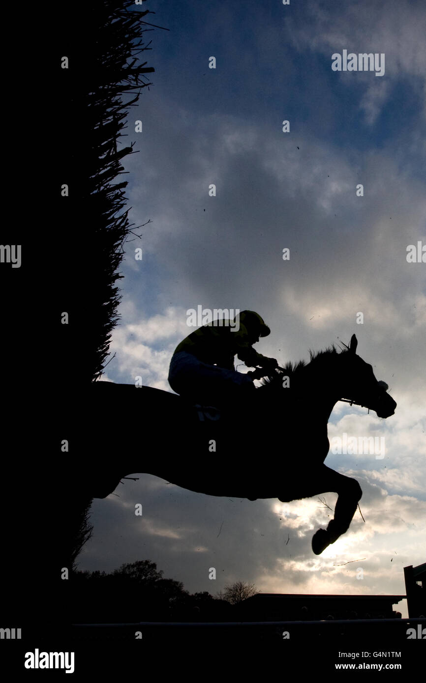 A silhouette of jockay and horse during the Phs Group Lady Amateur Riders' Handicap Hurdle Stock Photo