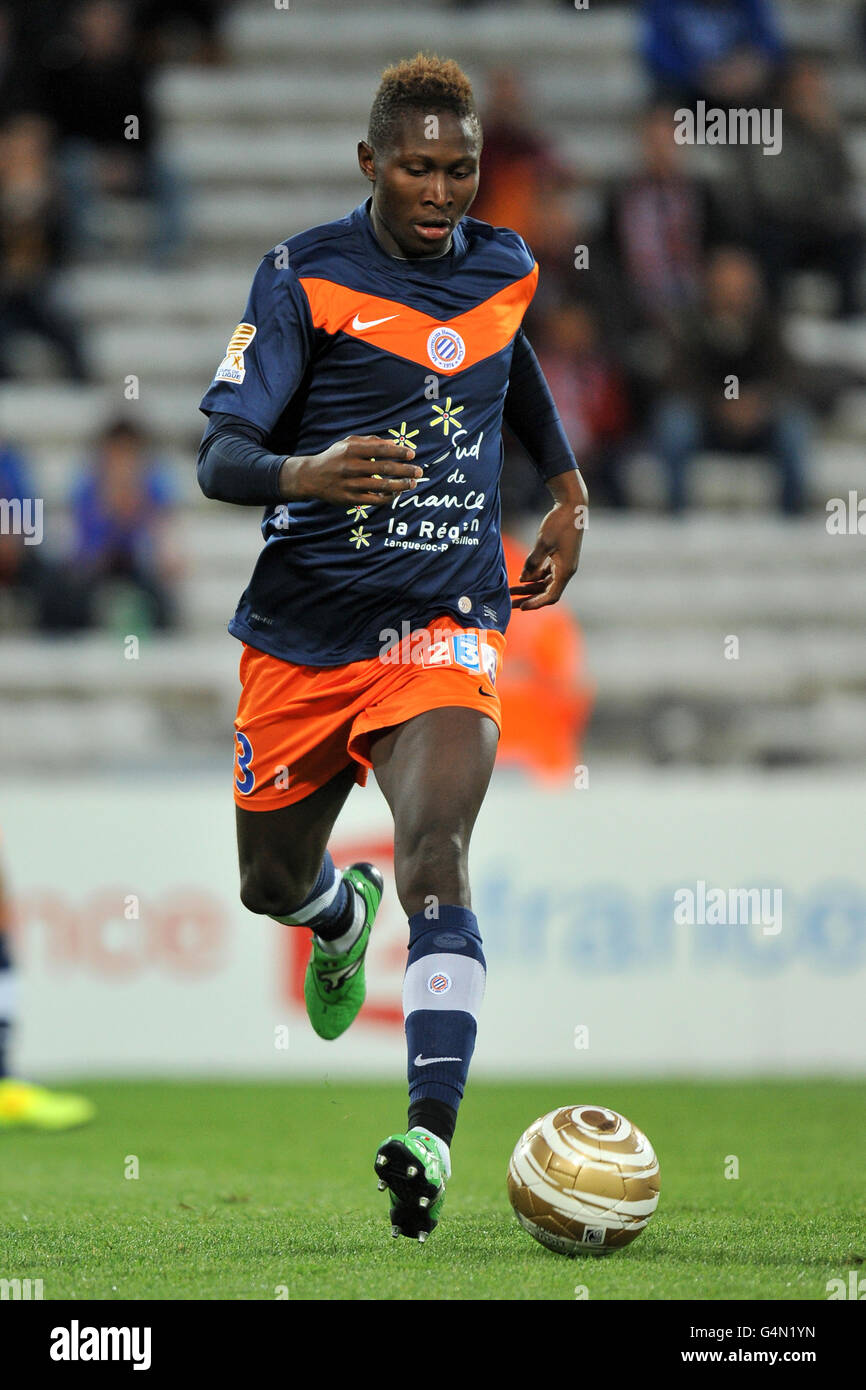 Montpellier foot new arrivals