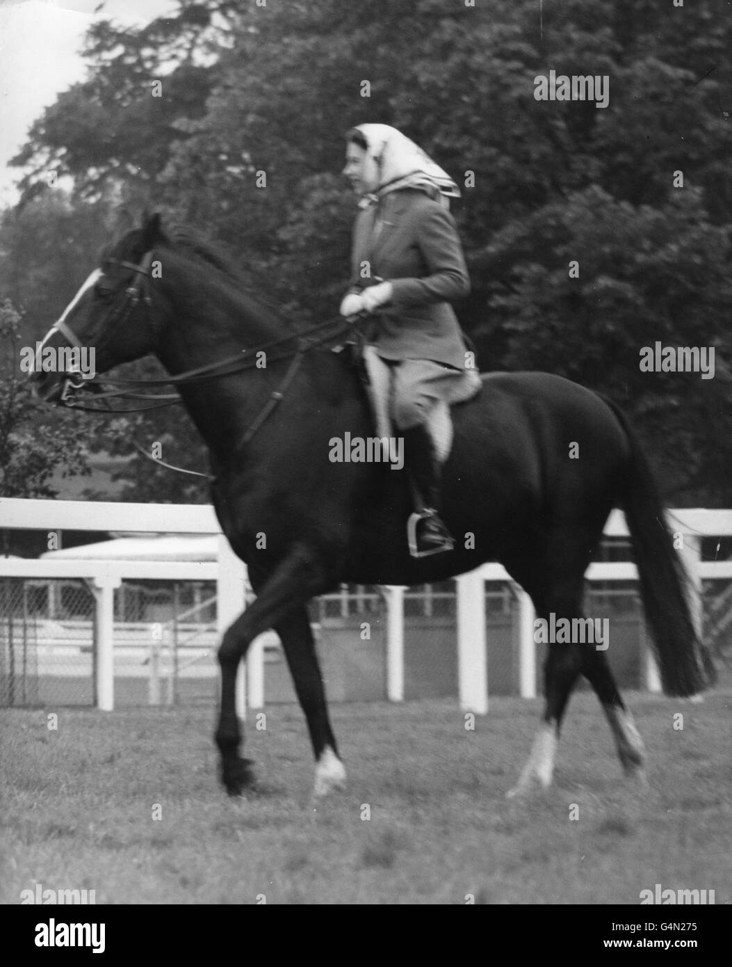 Queen Elizabeth II riding on the racecourse before the opening of the third day of the Royal Ascot meeting. She took part in an unofficial 'race' and finished fourth to other members of her party of seven. Stock Photo