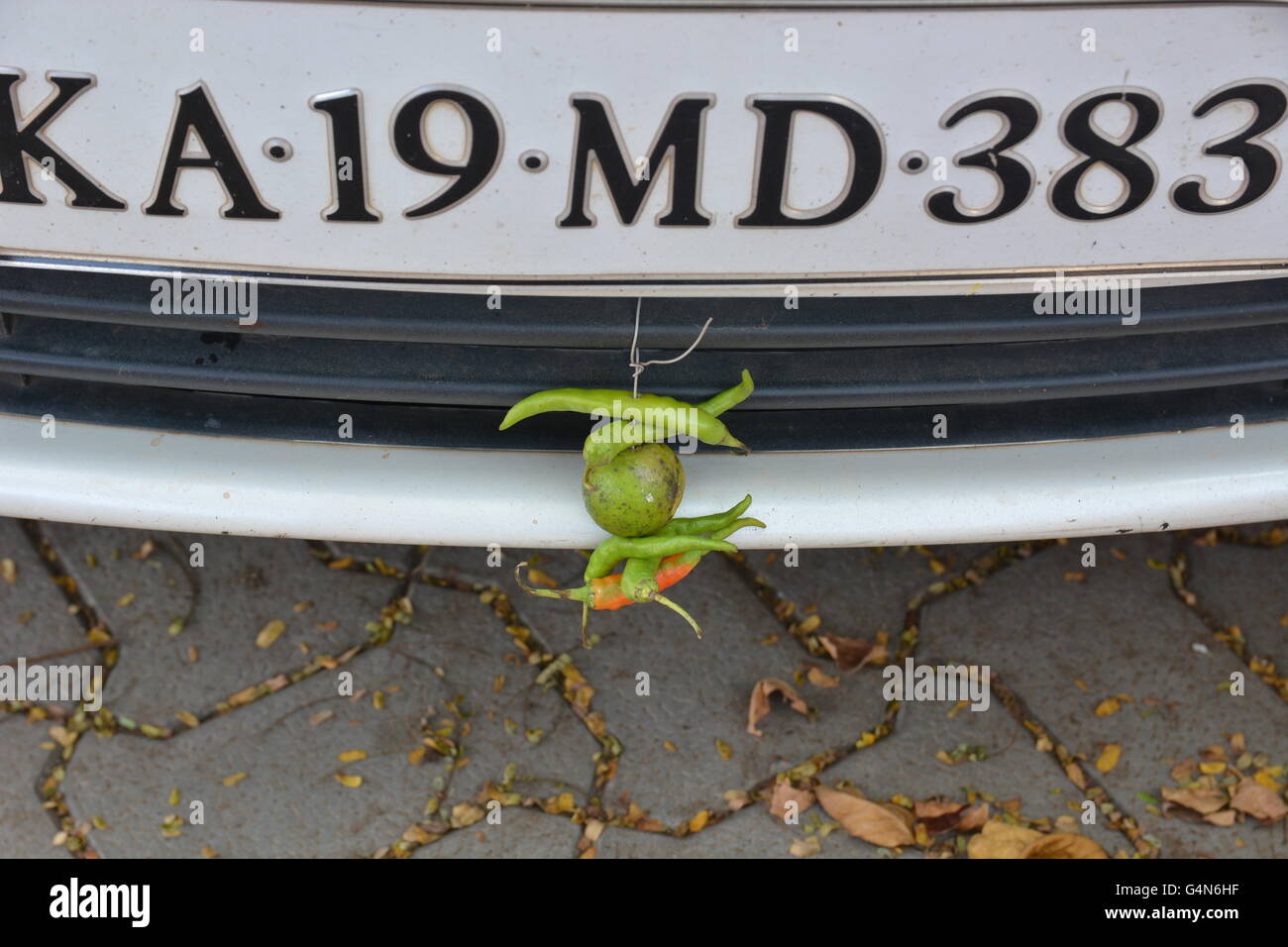 Kochi, India - October 24, 2015 - Chili and lemon on Tata car in India as part of superstition to prevent car accidents Stock Photo