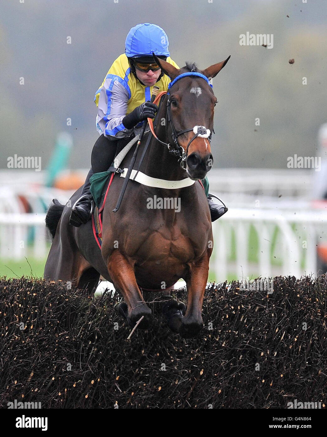 Peddlers Cross ridden by Timmy Murphy on the way to winning the The Golden Bear Beginners Chase at Bangor-on-Dee Racecourse. Stock Photo