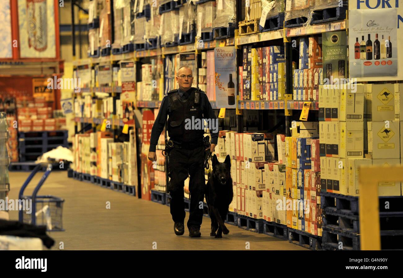 A police dog and its handler searches Bestway Cash and Carry in ...