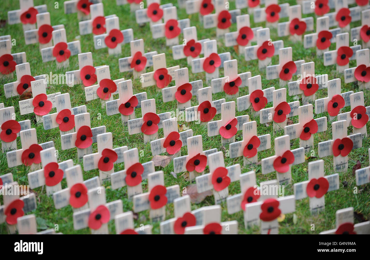 Poppies and crosses in the Field of Remembrance next to the War Memorial at All Saints Church, Northampton on Armistice Day. Stock Photo