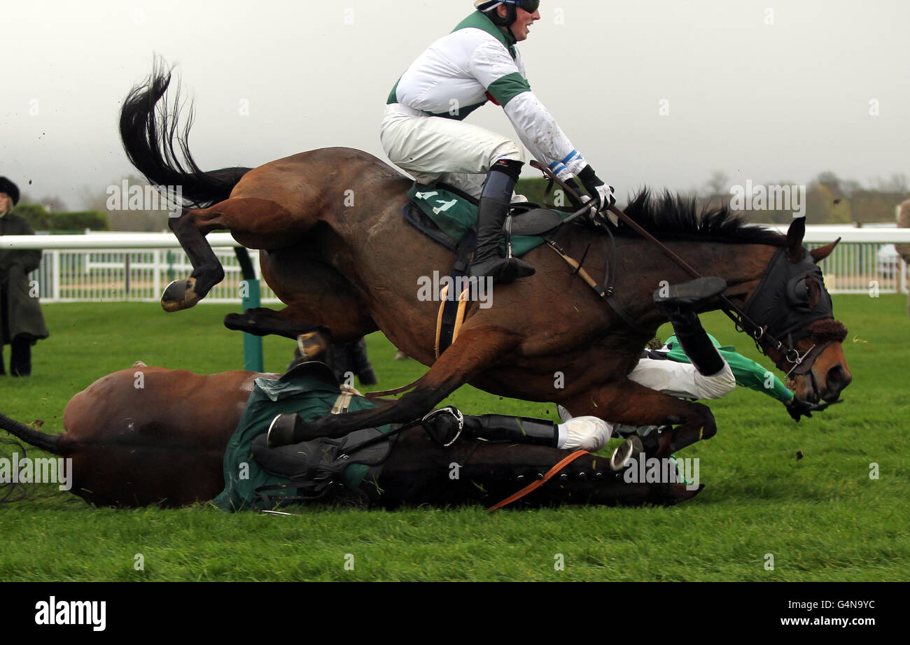 Frosted Grape ridden by Kieron Edgar tries to avoid Bescot Springs ridden by Steven Fox who is a faller in the Irish Times Amateur Riders Handicap Chase on Countryside Day of the The Open 2011 at Cheltenham Racecourse. Stock Photo