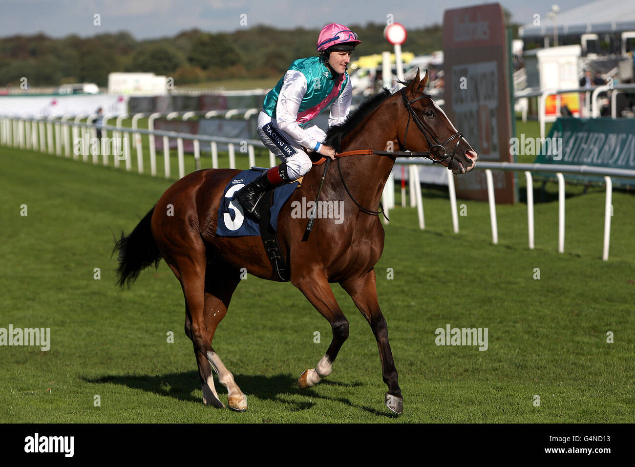 Horse Racing - Ladbrokes St. Leger Festival 2011 - DFS Ladies Day - Doncaster Racecourse. Total Command, ridden by Tom Queally Stock Photo