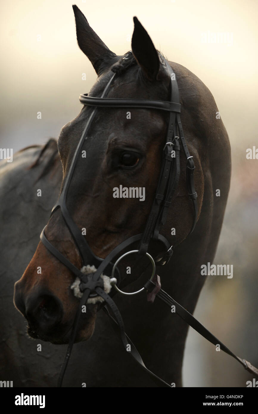 Horse Racing - Midweek Jumps - Warwick Racecourse Stock Photo