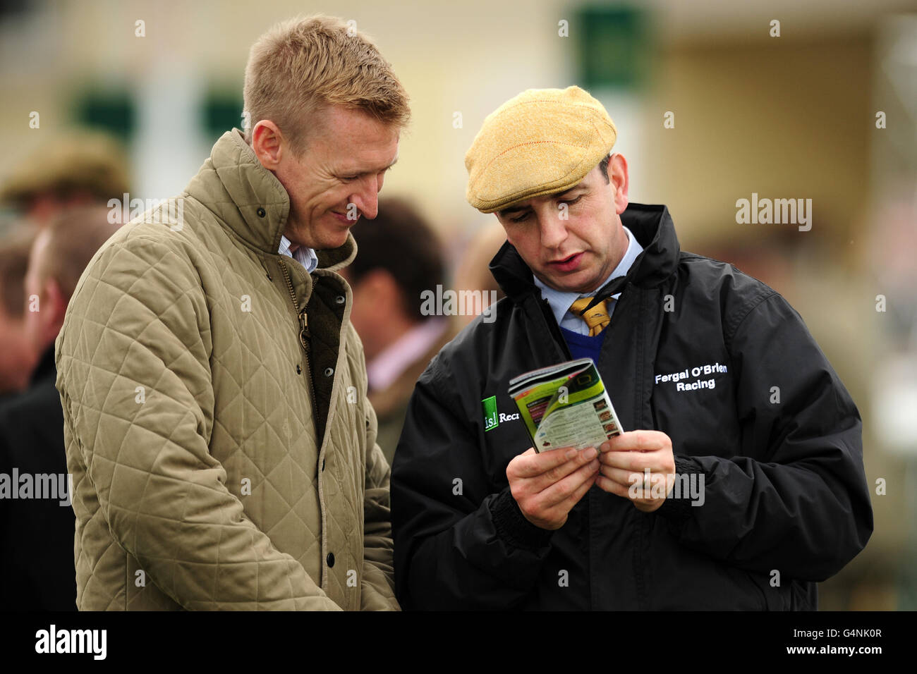 Horse Racing Towcester Racecourse Stock Photo Alamy
